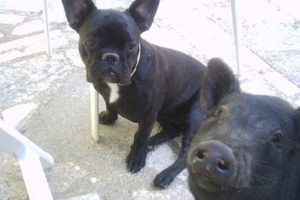 Algunos trucos 5