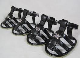 Zapatos para mascotas