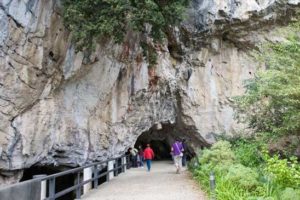 Cuevas de Tito Bustillo