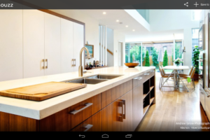 Houzz Interior Design Ideas
