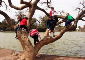 trepar un arbol
