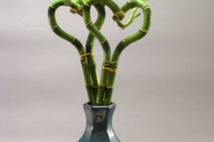 Revista iOrigen. Moda, belleza, viajes... y estilo de vida 6