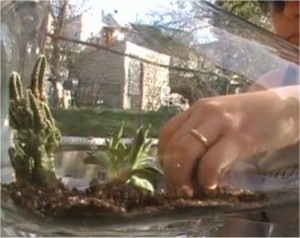 jardineria-sorprendente