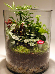 Terrario Jardín en Miniatura 7