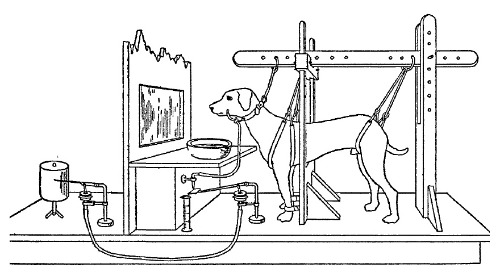 2. Conductismo: Sistemas reflejos, todo es externo.