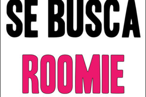 se busca roomie
