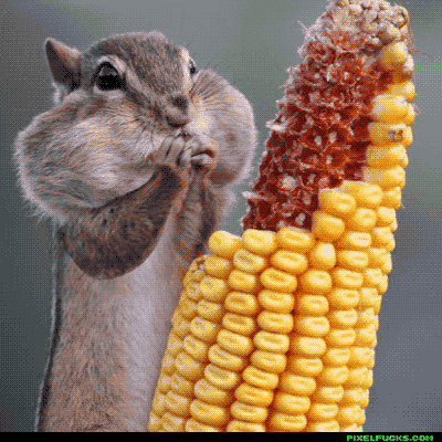 comer poquito