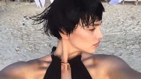 shorthair