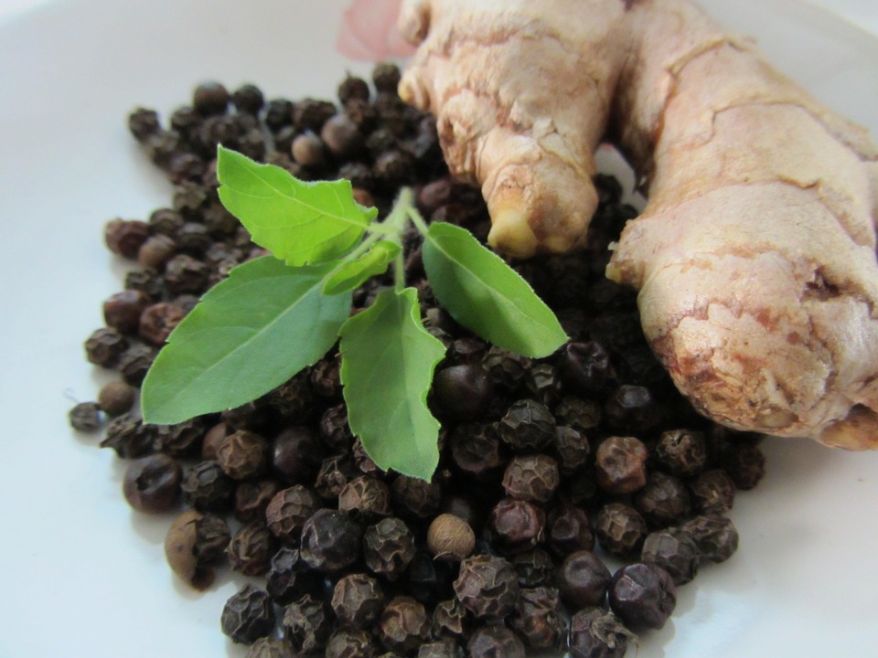 Dieta Ayurveda para Adelgazar