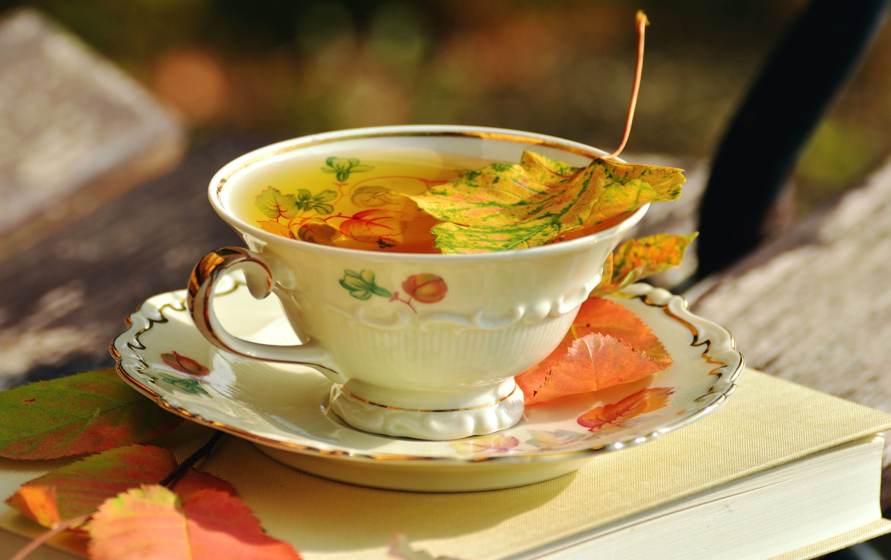 ¿Es bueno el té para adelgazar? ⋆ iOrigen ¿Es bueno el té para adelgazar? ⋆ iOrigen