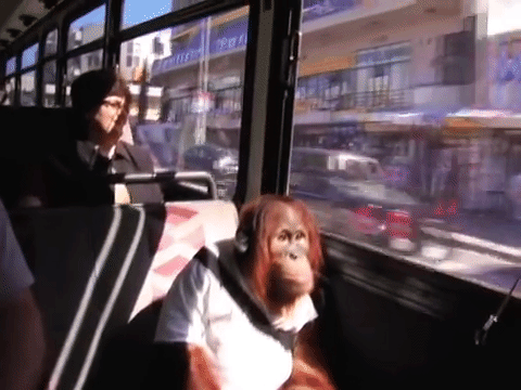 transporte publico 1