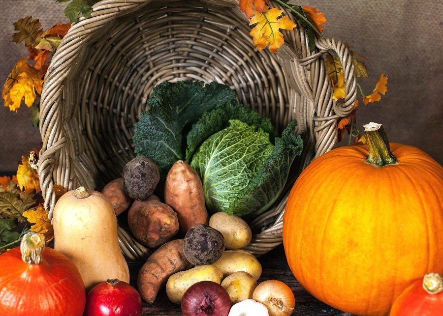 Es mejor una dieta vegana o dieta omnívora para chicas talla XXL