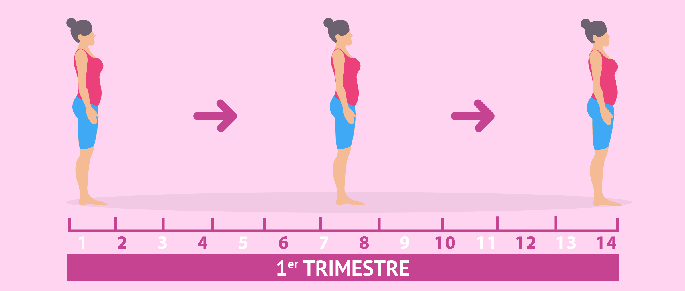 Primer trimestre de embarazo